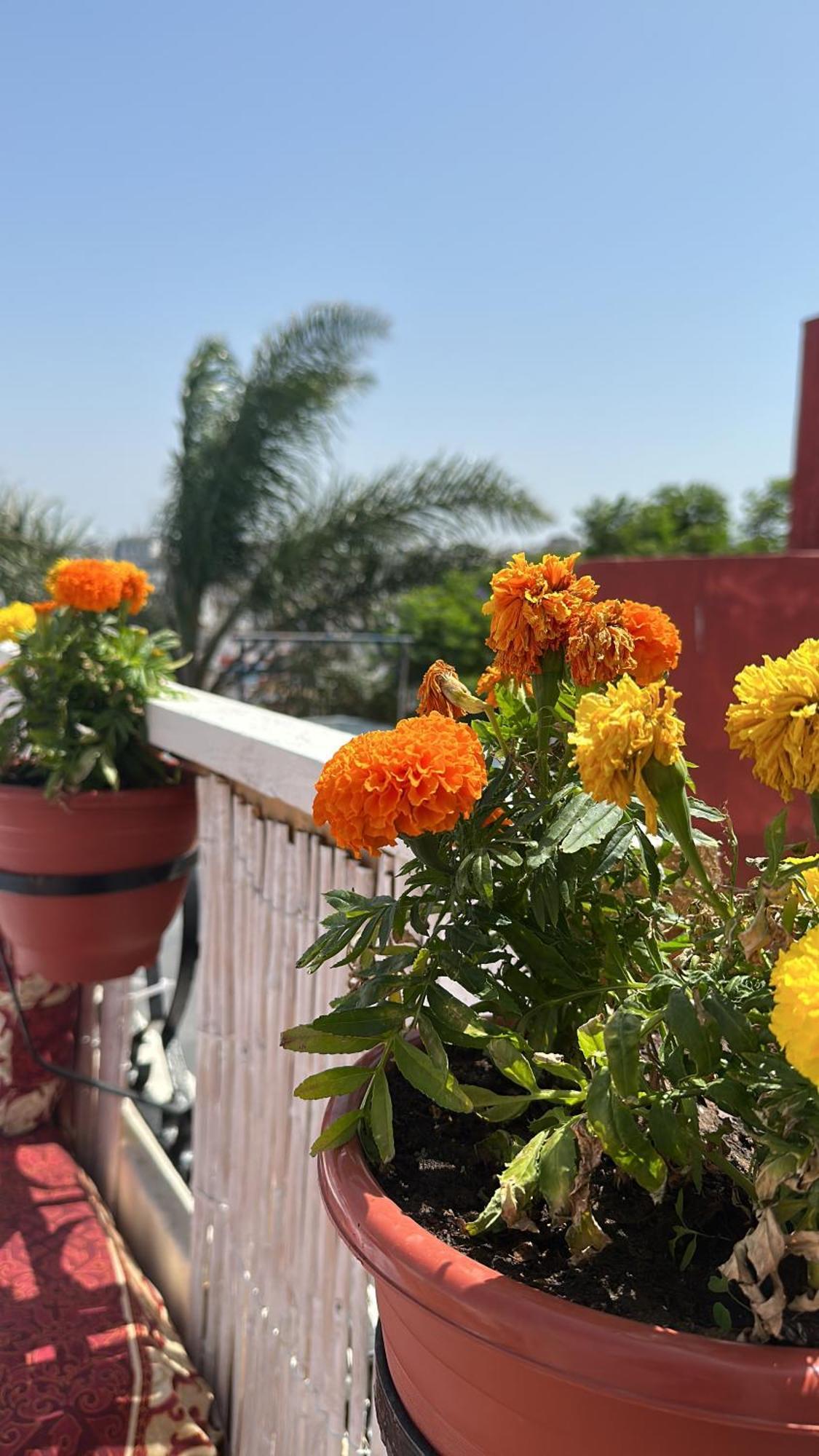 Villa House With Sea View In Kasbah Tánger Exterior foto